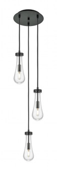 Owego - 3 Light - 13 inch - Matte Black - Multi Pendant (3442|113-451-1P-BK-G451-4CL)