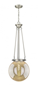 Beacon - 1 Light - 14 inch - Satin Nickel - Chain Hung - Pendant (3442|221-1P-SN-G208-14)