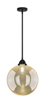 Beacon - 1 Light - 12 inch - Matte Black - Stem hung - Mini Pendant (3442|288-1S-BK-G208-12)