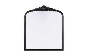 Naomi Vintage Resin Mirror 36x42 in Vintage Bronze (758|MR7F3642VB)