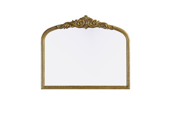 Naomi Vintage Resin Mirror 36x30 in Antique Brass (758|MR7F3630AB)