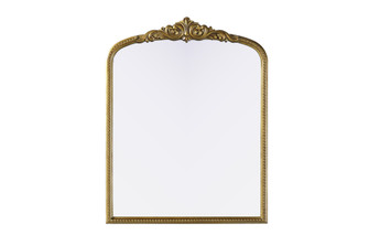 Naomi Vintage Resin Mirror 33x42 in Antique Brass (758|MR7F3342AB)