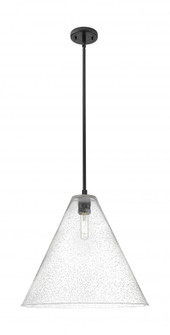 Crown Point - 1 Light - 16 inch - Matte Black - Pendant (3442|434-1S-BK-GBC-164)