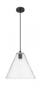 Crown Point - 1 Light - 12 inch - Matte Black - Cord Hung - Pendant (3442|434-1P-BK-GBC-122)