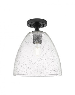 Crown Point - 1 Light - 9 inch - Matte Black - Flush Mount (3442|434-1F-BK-GBD-94)