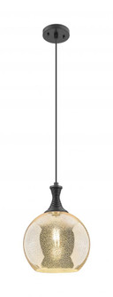 Astor - 1 Light - 10 inch - Matte Black - Cord hung - Mini Pendant (3442|415-1P-BK-G128-10)