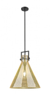 Newton Cone - 1 Light - 16 inch - Matte Black - Stem hung - Pendant (3442|411-1SL-BK-G411-16ME)