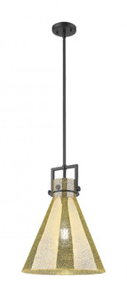 Newton Cone - 1 Light - 14 inch - Matte Black - Stem hung - Pendant (3442|411-1SL-BK-G411-14ME)