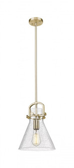 Newton Cone - 1 Light - 10 inch - Champagne Bronze - Mini Pendant (3442|410-1SM-CB-G411-10SDY)