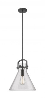 Newton Cone - 1 Light - 12 inch - Matte Black - Mini Pendant (3442|410-1SM-BK-G411-12SDY)