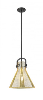 Newton Cone - 1 Light - 12 inch - Matte Black - Mini Pendant (3442|410-1SM-BK-G411-12ME)