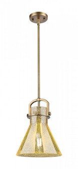 Newton Cone - 1 Light - 10 inch - Brushed Brass - Mini Pendant (3442|410-1SM-BB-G411-10ME)
