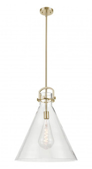 Newton Cone - 1 Light - 18 inch - Champagne Bronze - Pendant (3442|410-1SL-CB-G411-18CL)