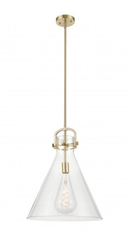 Newton Cone - 1 Light - 16 inch - Champagne Bronze - Pendant (3442|410-1SL-CB-G411-16CL)