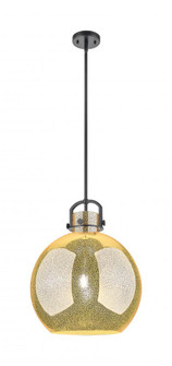 Newton Sphere - 1 Light - 16 inch - Matte Black - Pendant (3442|410-1SL-BK-G410-16ME)