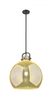 Newton Sphere - 1 Light - 18 inch - Matte Black - Pendant (3442|410-1SL-BK-G410-18ME)