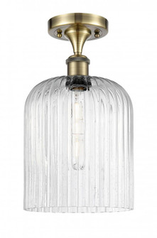 Bridal Veil - 1 Light - 5 inch - Antique Brass - Semi-Flush Mount (3442|516-1C-AB-G559-8SDY)