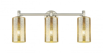 Crown Point - 3 Light - 24 inch - Polished Nickel - Bath Vanity Light (3442|434-3W-PN-G434-7ME)