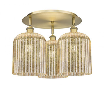 Bridal Veil - 3 Light - 17 inch - Brushed Brass - Semi-Flush Mount (3442|516-3C-BB-G559-8ME)