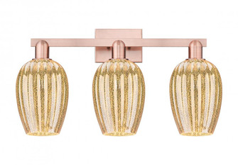 Preston Flute - 3 Light - 26 inch - Antique Copper - Bath Vanity Light (3442|716-3W-AC-G457-6ME)