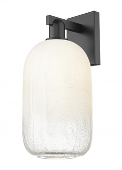 Brookhaven Cloche - 1 Light - 6 inch - Matte Black - Sconce (3442|716-1W-BK-G482-7OP)