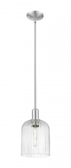Bridal Veil - 1 Light - 8 inch - Brushed Satin Nickel - Mini Pendant (3442|716-1S-SN-G559-8SDY)