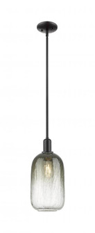 Brookhaven Cloche - 1 Light - 6 inch - Matte Black - Mini Pendant (3442|716-1S-BK-G482-7SL)