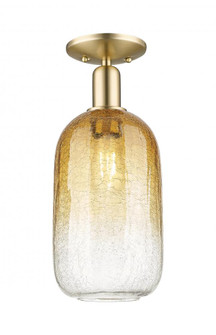 Brookhaven Cloche - 1 Light - 6 inch - Champagne Bronze - Semi-Flush Mount (3442|716-1C-CB-G482-7AM)
