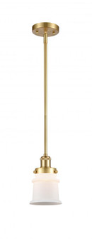 Canton - 1 Light - 6 inch - Satin Gold - Mini Pendant (3442|916-1S-SG-G181S)