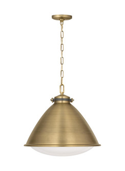 HAYWARD 1L LG PENDANT TWB (7725|LP1121TWB)