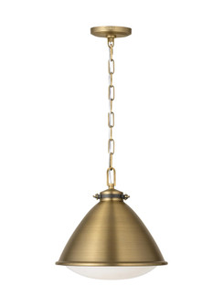 HAYWARD 1L MD PENDANT TWB (7725|LP1111TWB)