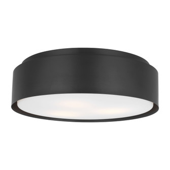 Dartmore (7725|DJF1063MBK)