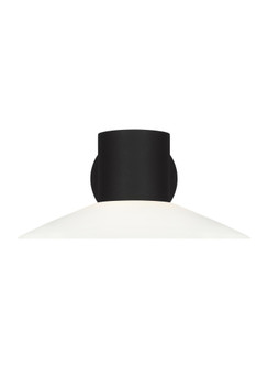 Focal (7725|BO1021TXB)