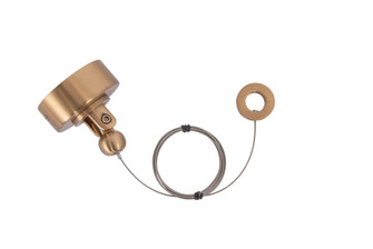 Swag Hook for Jackie Collection in Satin Brass (20|594-SWAG-SB)