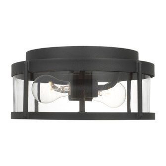 Luning Medium Flush Mount (38|GLO1132C-TXB)