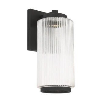 Ronde Medium One Light Outdoor Wall Lantern (38|GLO1071DL-TXB)