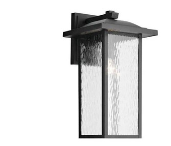 Capanna 1-Light Extra-Large Wall Light with Clear Water Glass in Textured Black (10687|49928BKT)