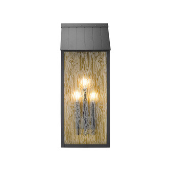 Point 2 Light 13.5'' Outdoor Wall Sconce, Black and Brass (12|AC8059BK)