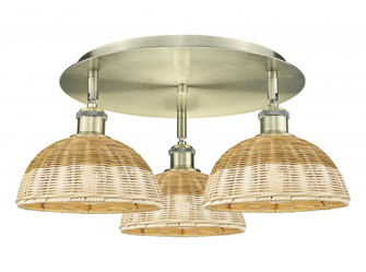 Bristol Natural II - 3 Light - 21 inch - Antique Brass - Semi-Flush Mount (3442|516-3C-AB-NBD2-9-NAT)