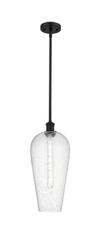 Chelsea - 1 Light - 8 inch - Matte Black - Stem hung - Mini Pendant (3442|516-1S-BK-G456-8SDY)