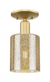 Cobbleskill - 1 Light - 5 inch - Satin Gold - Semi-Flush Mount (3442|716-1C-SG-G116)