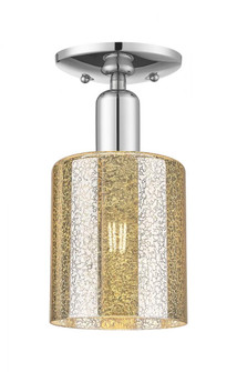 Cobbleskill - 1 Light - 5 inch - Polished Chrome - Semi-Flush Mount (3442|716-1C-PC-G116)
