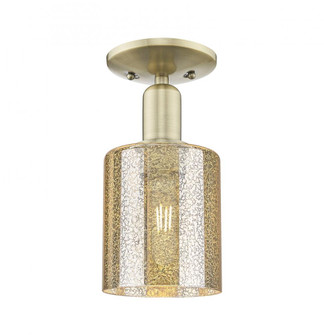 Cobbleskill - 1 Light - 5 inch - Antique Brass - Semi-Flush Mount (3442|716-1C-AB-G116)