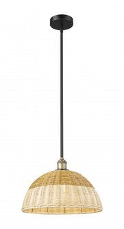 Bristol Natural II - 1 Light - 16 inch - Black Antique Brass - Stem hung - Mini Pendant (3442|616-1S-BAB-NBD2-16-NAT)