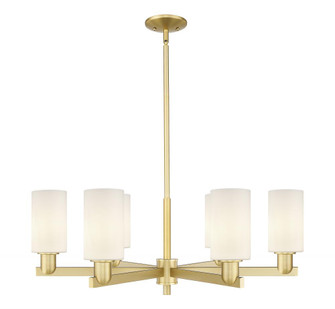 Clymer - 6 Light - 34 inch - Satin Gold - Stem hung - Chandelier (3442|716-6CR-SG-G801)