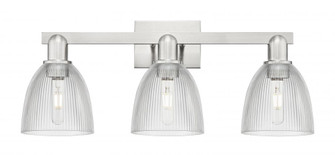 Castile - 3 Light - 25 inch - Brushed Satin Nickel - Bath Vanity Light (3442|716-3W-SN-G382)