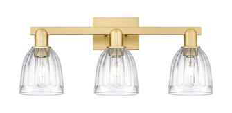 Brookfield - 3 Light - 25 inch - Satin Gold - Bath Vanity Light (3442|716-3W-SG-G442)