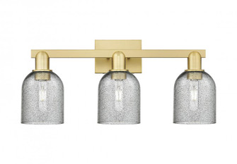 Caledonia - 3 Light - 24 inch - Satin Gold - Bath Vanity Light (3442|716-3W-SG-G257)