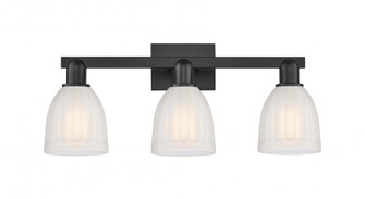 Brookfield - 3 Light - 25 inch - Matte Black - Bath Vanity Light (3442|716-3W-BK-G441)