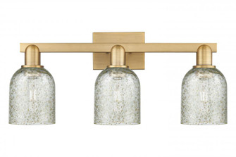 Caledonia - 3 Light - 24 inch - Brushed Brass - Bath Vanity Light (3442|716-3W-BB-G259)